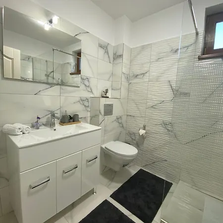 Tei Apartment Piatra Neamt